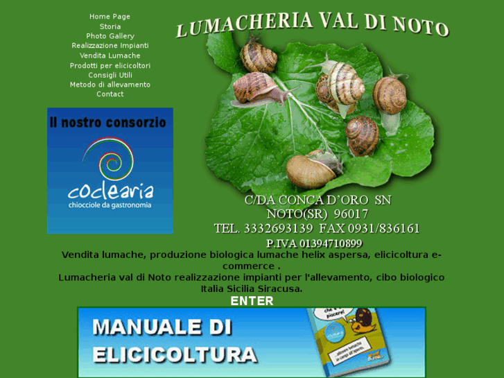 www.lumacheriavaldinoto.com