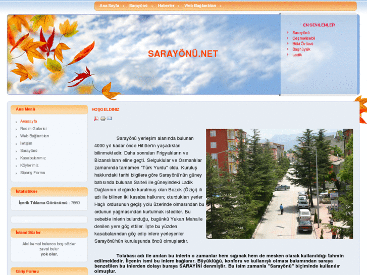 www.sarayonu.net