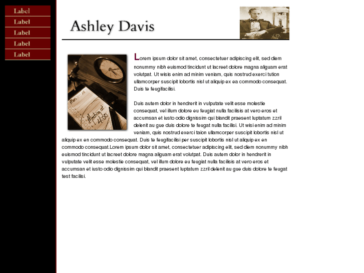 www.ashleydavis.net