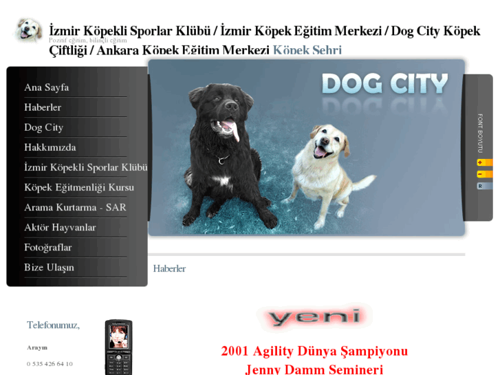 www.dogcity.cc
