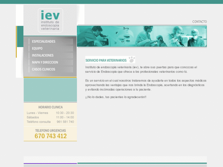 www.institutoendoscopiaveterinaria.com