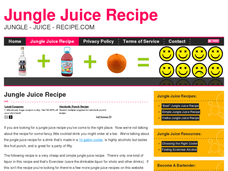 www.jungle-juice-recipe.com