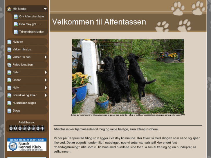 www.affentassen.com