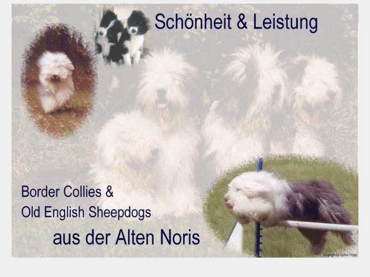 www.alte-noris.de