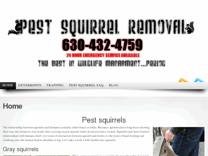 www.pestsquirrelremoval.com