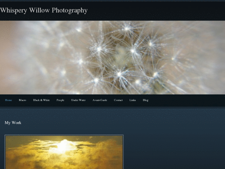 www.whisperywillowphotography.com