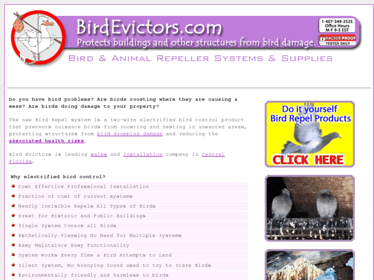 www.bird-evictors.com