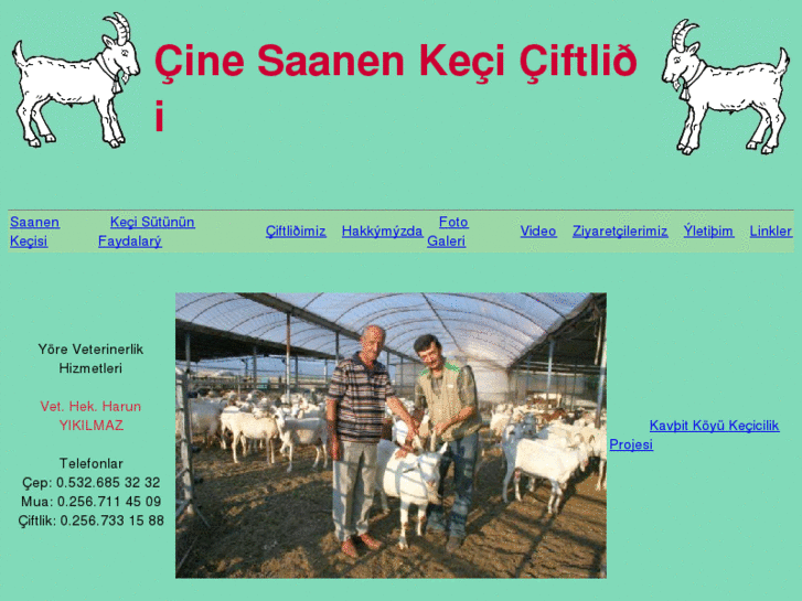 www.cinesaanen.com