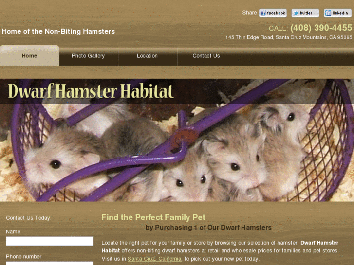 www.dwarfhamsterhabitat.com