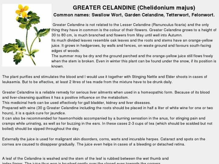 www.greater-celandine.com