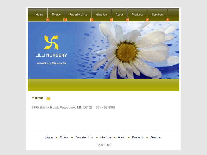 www.lillinursery.com