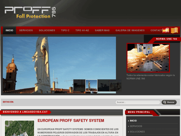 www.proffsafetysystem.com