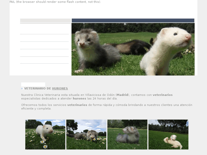 www.veterinariohurones.com