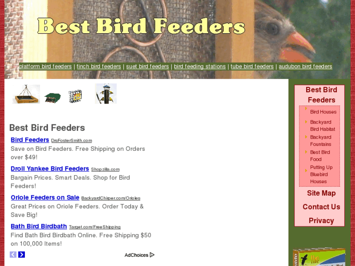 www.bestbirdfeeders.net