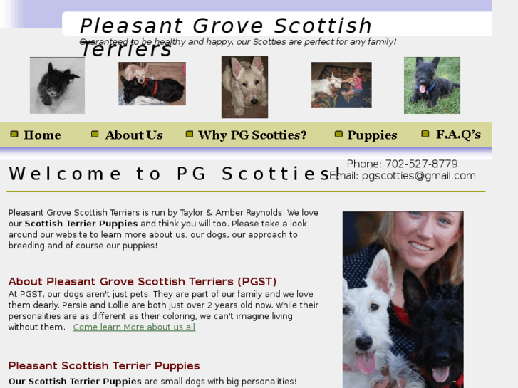 www.pleasant-scottish-terrier-puppies.com