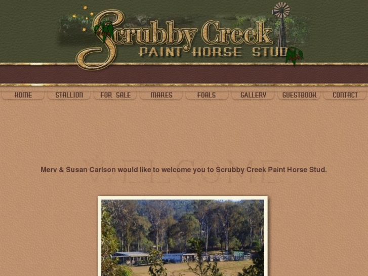 www.scrubbycreekpaints.com