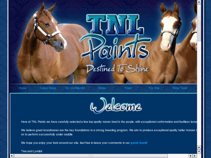 www.tnlpaints.com