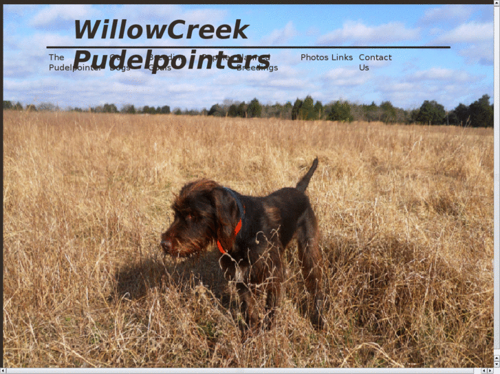 www.willowcreekgundogs.com