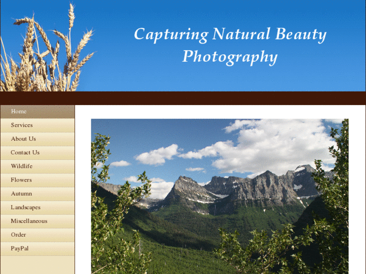 www.capturingnaturalbeauty.com