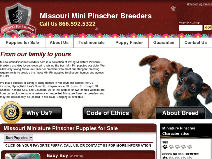 www.missouriminipinscherbreeders.com