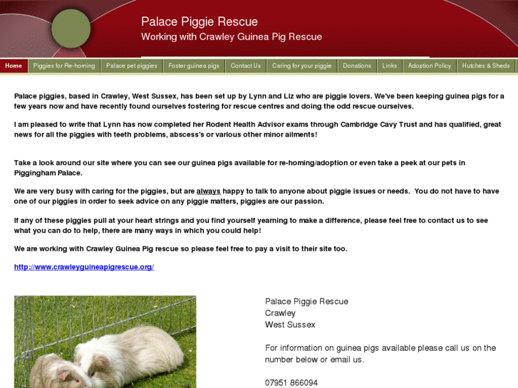 www.palacepiggierescue.org