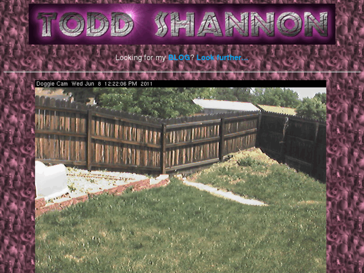 www.toddshannon.com