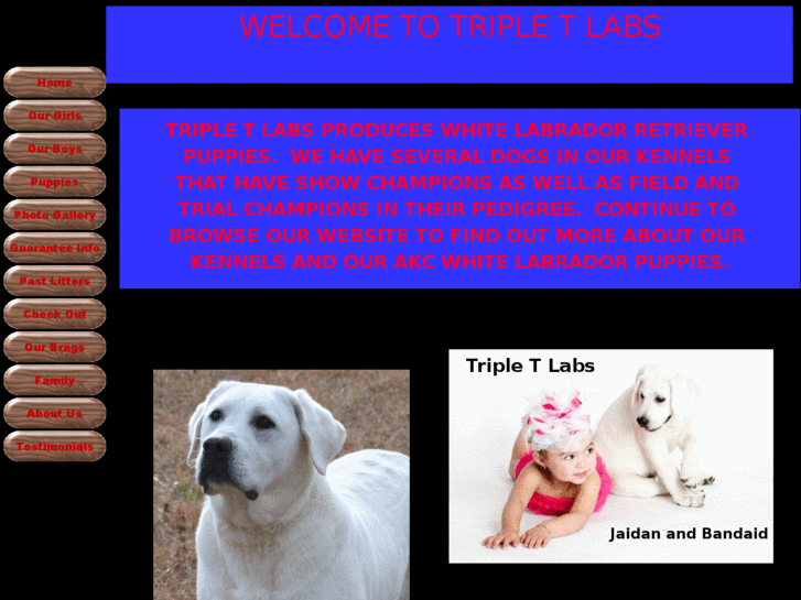 www.tripletlabs.com