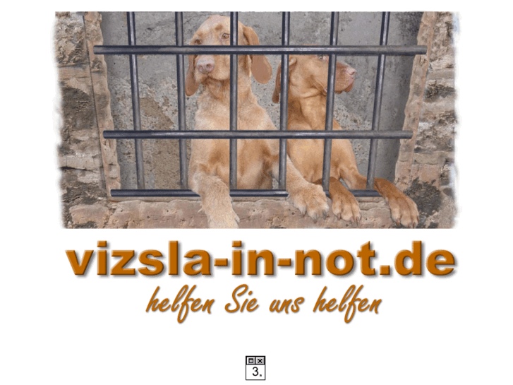 www.vizsla-in-not.de