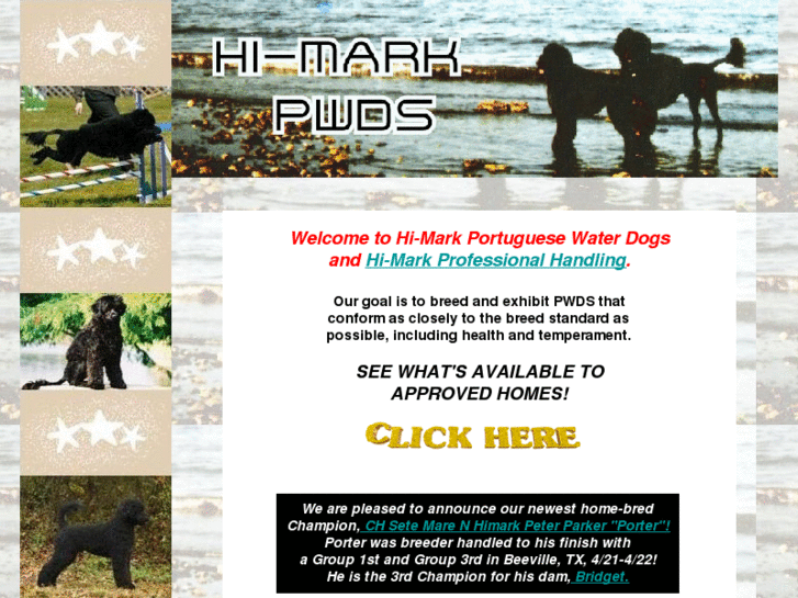 www.hi-markpwds.com