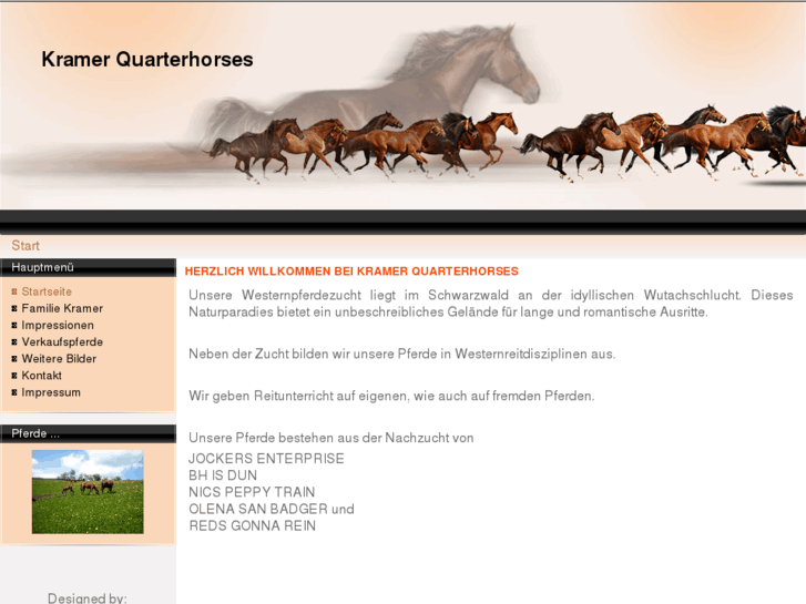 www.kramer-quarterhorses.com