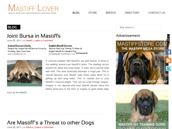 www.mastifflover.com