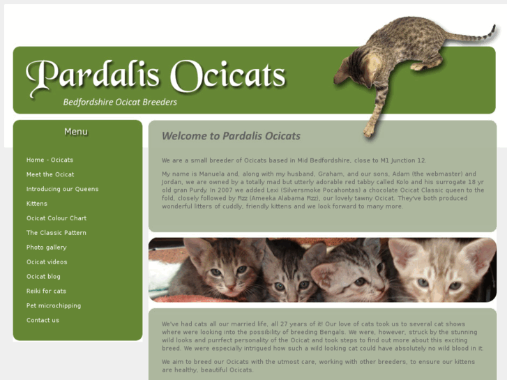 www.ocicats.org