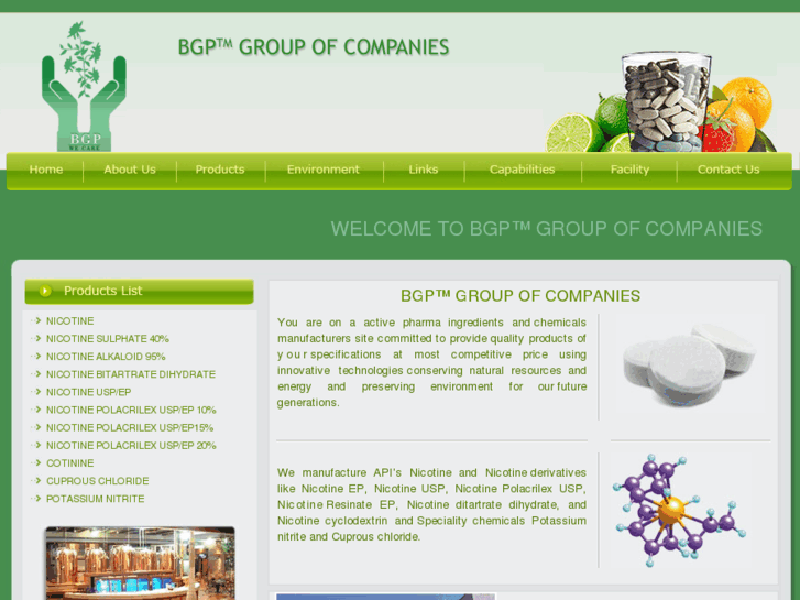 www.bgpgroup.biz