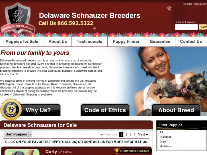 www.delawareschnauzerbreeders.com