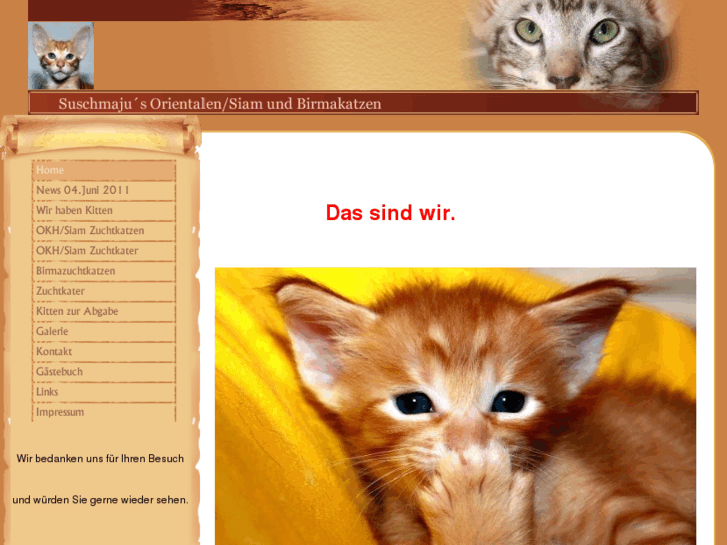 www.kleine-katzen.de