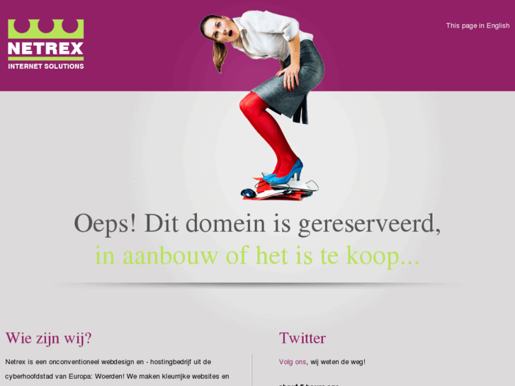 www.netrexwebdesign.com