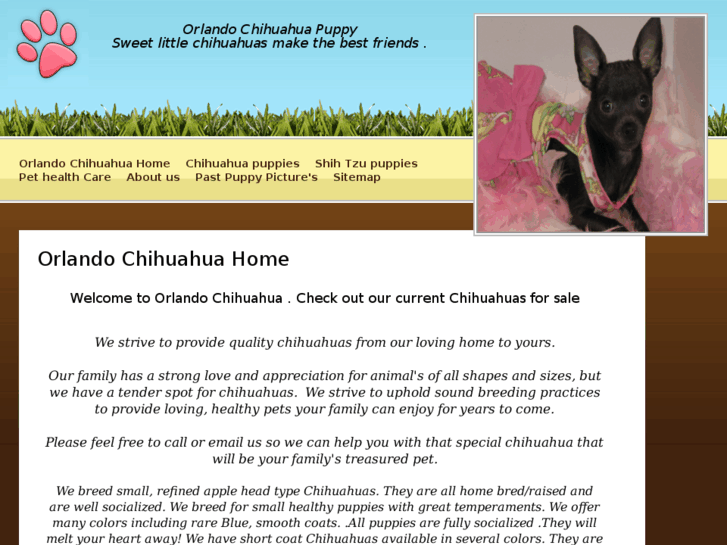 www.orlandochihuahua.com