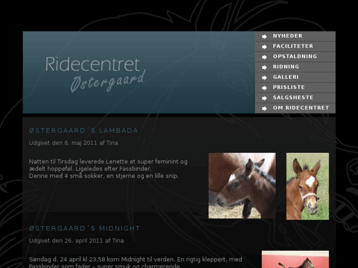 www.ridecentret.dk