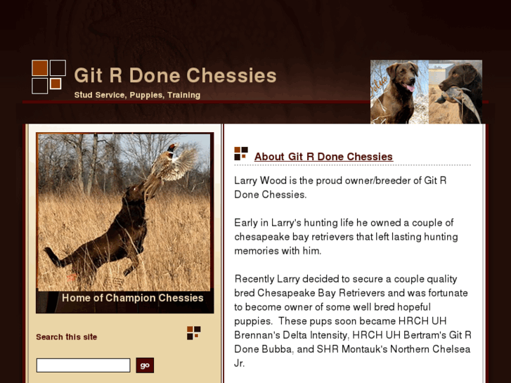 www.gitrdonechessies.com