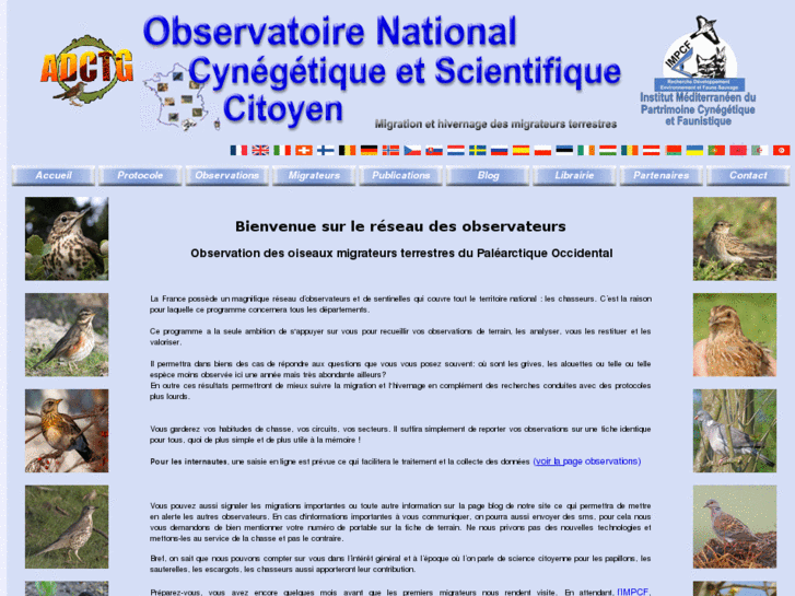 www.observatoiremigrateurs.com