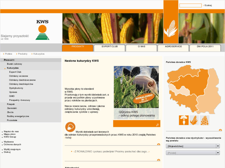 www.qqrydza.pl