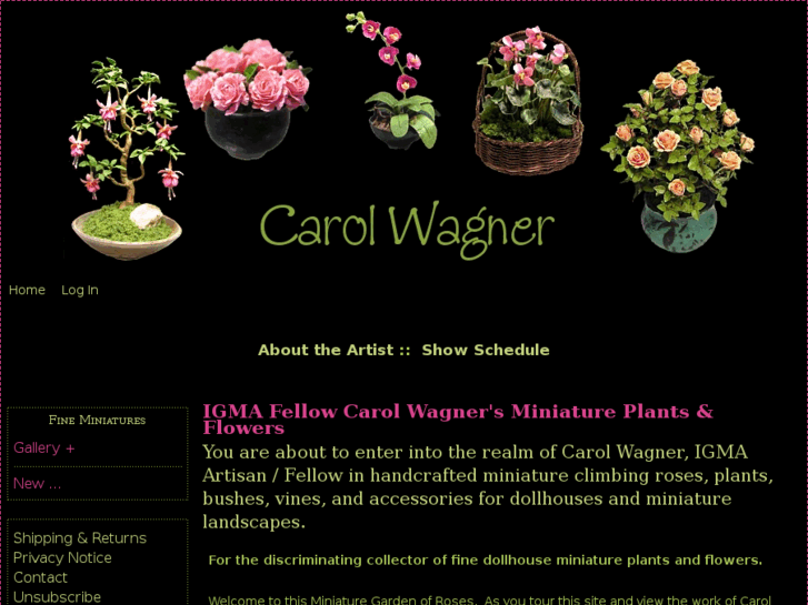 www.carol-wagner.com