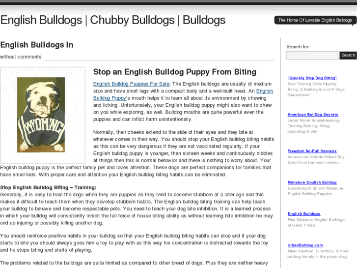 www.chubbybulldogs.com