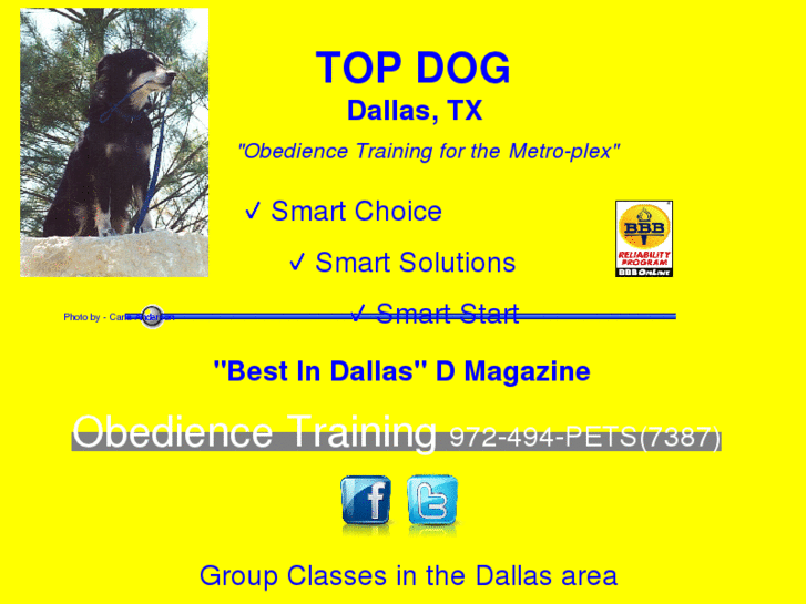www.topdogdallas.com