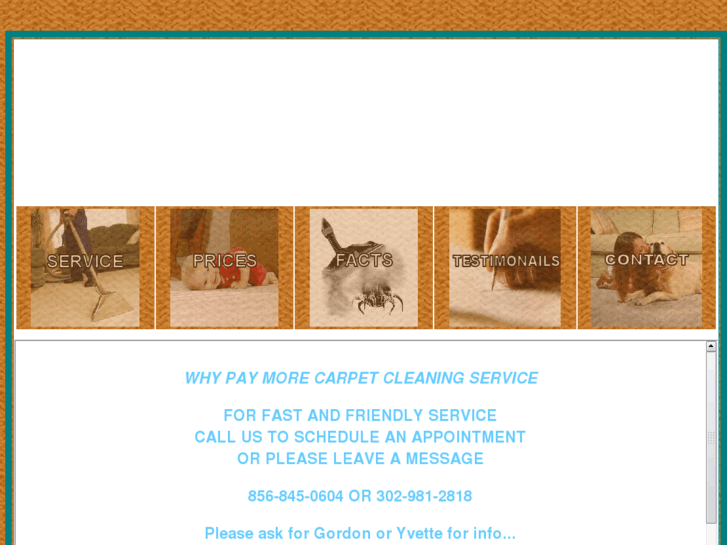 www.whypaymorecarpetcleaning.com