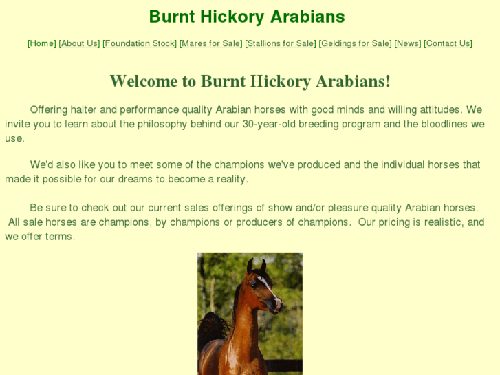 www.burnthickoryarabians.com