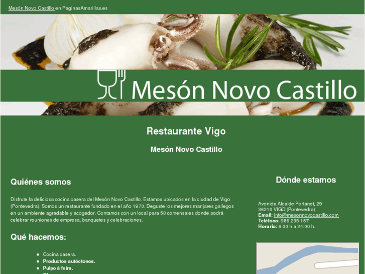 www.mesonnovocastillo.com