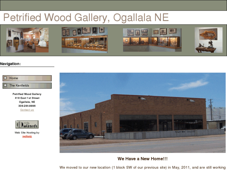 www.petrifiedwoodgallery.com