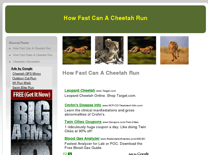 www.howfastcanacheetahrun.net