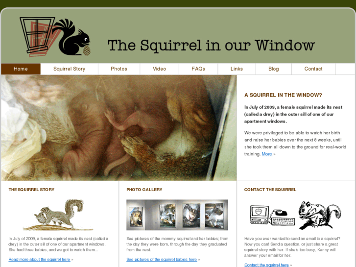 www.thesquirrelinourwindow.com